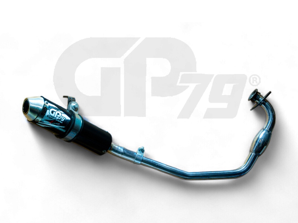 Escape pulsar NS200
